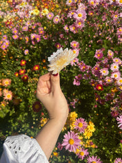 Hand-painted Waterlily Flower Claw Hair Clip | White