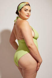 Isle One Piece | Birds of Paradise