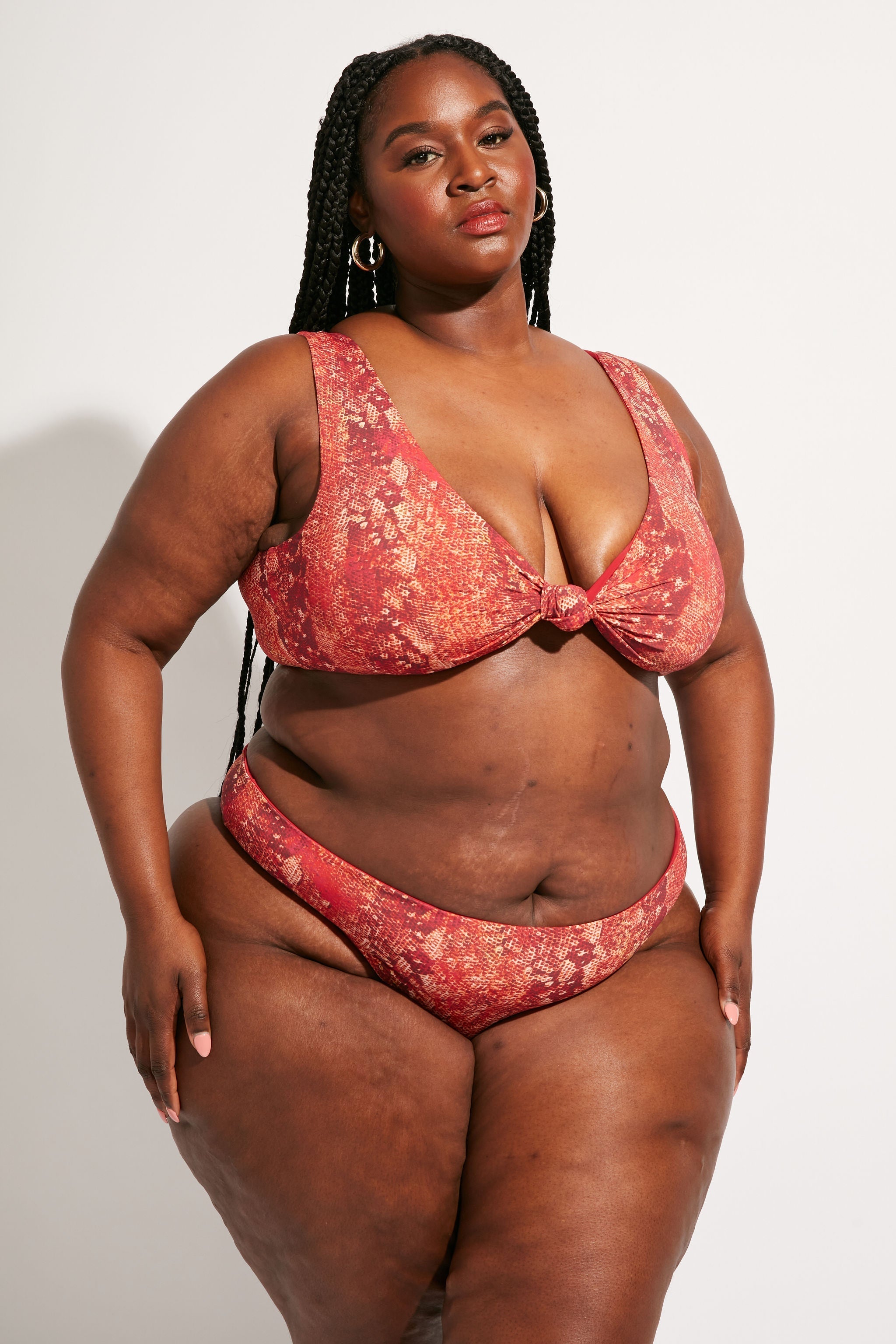 Playa Bottom | Iguana