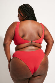 Playa Bottom | Iguana