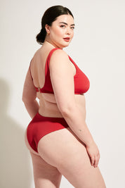 Playa Top II | Iguana