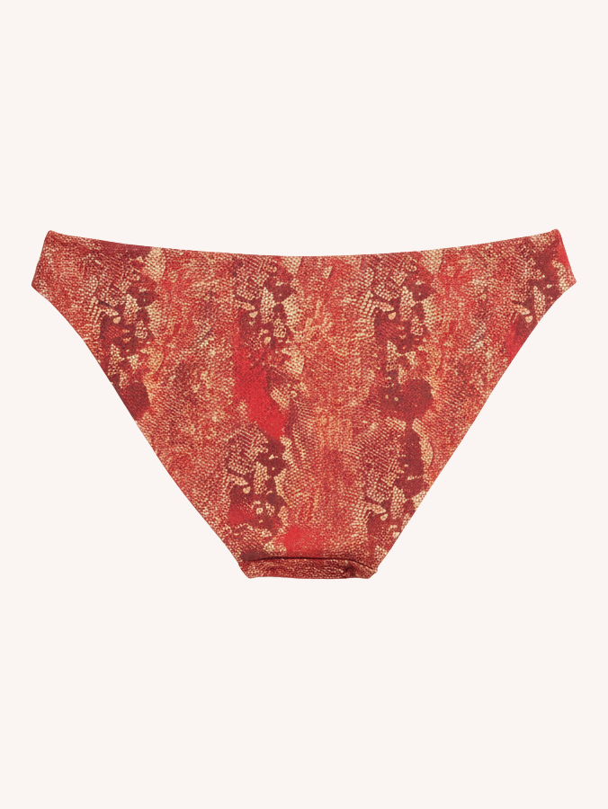 Playa Bottom | Iguana