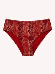 Playa Bottom | Iguana