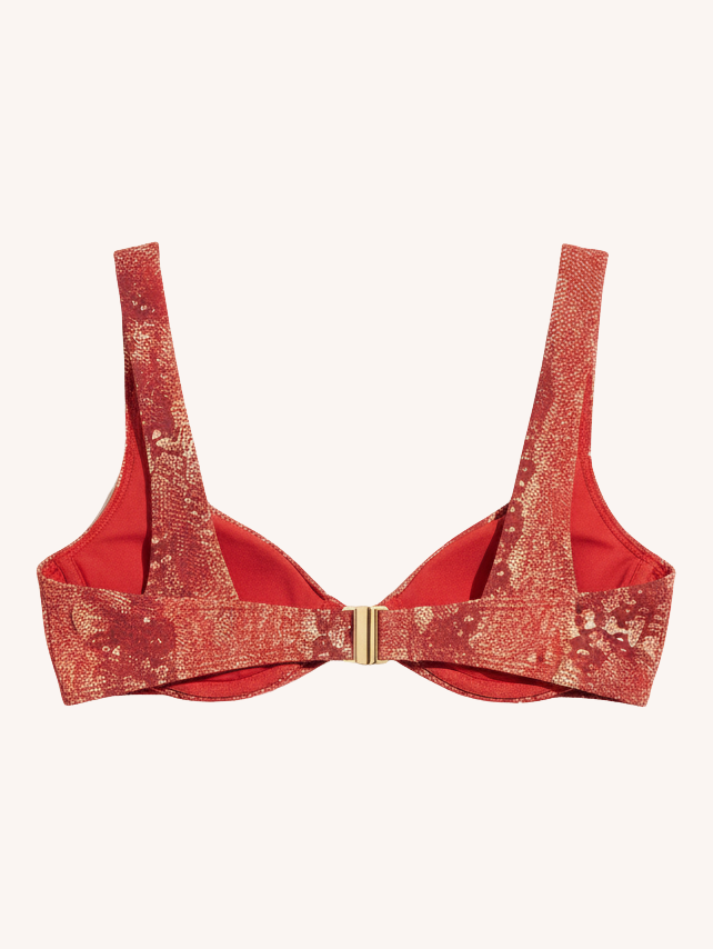 Playa Top II | Iguana